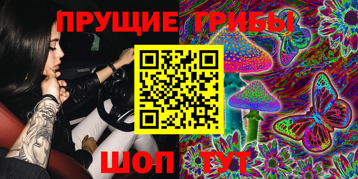 Псилоцибиновые грибы прущие грибы  Вход с VPN  Урюпинск  Галлюциногенные грибы Psilocybe 